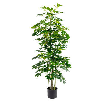 Decoratieve plant Alexandra House Living Plastic Schefflera 155 cm