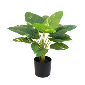 Decoratieve plant Alexandra House Living Plastic 50 cm