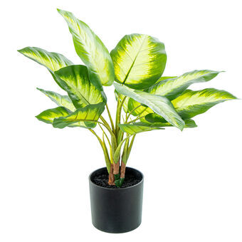 Decoratieve plant Alexandra House Living Plastic Aglaonema 50 cm