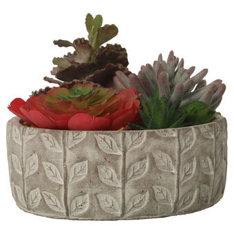 Decoratieve plant Alexandra House Living Plastic Vetplant 20 x 21 x 18 cm