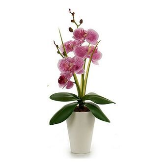 Decoratieve plant Orchidee Plastic 8 x 35 x 14 cm