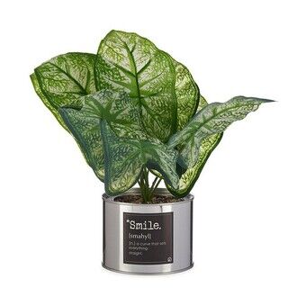 Decoratieve plant Smile Ziverachtig Blik Metaal Plastic (26 x 26 x 26 cm)