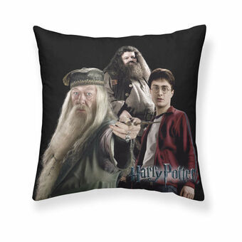 Kussenhoes Harry Potter Team 50 x 50 cm