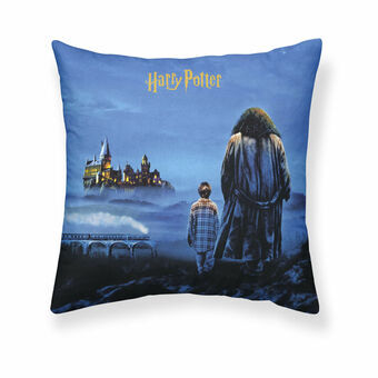 Kussenhoes Harry Potter Philosopher\'s Stone 50 x 50 cm