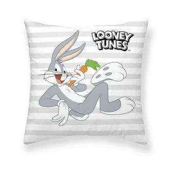 Kussenhoes Looney Tunes Looney Characters A 45 x 45 cm