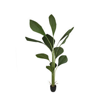 Decoratieve plant Romimex PVC Licuala 20 x 180 x 20 cm