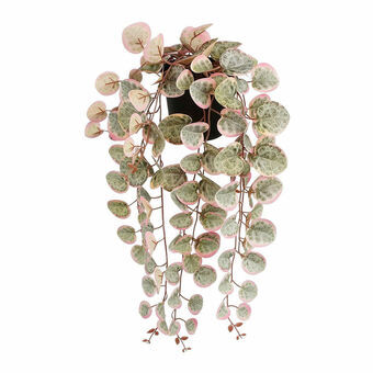 Decoratieve plant Mica Decorations Ceropegia Woodii 10 x 46 x 12 cm Kunstmatig Om op te hangen