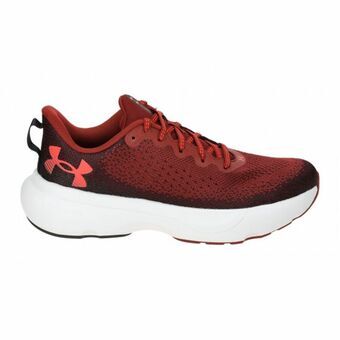 Hardloopschoenen voor Volwassenen Under Armour Infinite Bruin