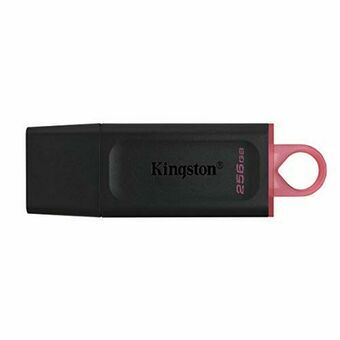 USB stick Kingston DTX/256GB Zwart 256 GB