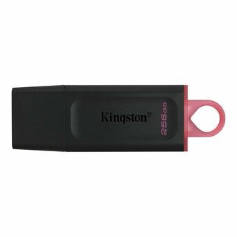 USB stick Kingston DTX/256GB Sleutelhanger Zwart 256 GB