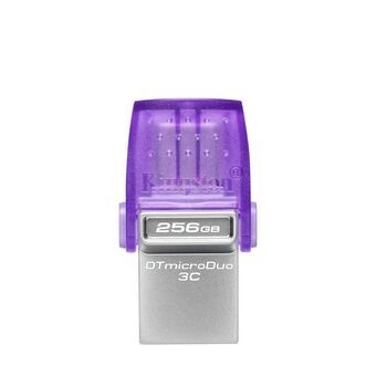 USB stick Kingston DTDUO3CG3/256GB Paars Zwart Staal 256 GB