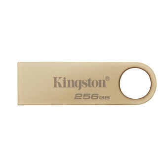 USB stick Kingston DTSE9G3/256GB Gouden 256 GB