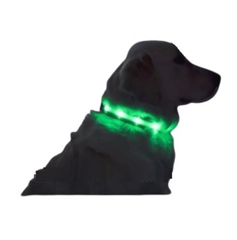 Lichtgevende LED-halsband voor honden in meerdere kleuren - Kies maat