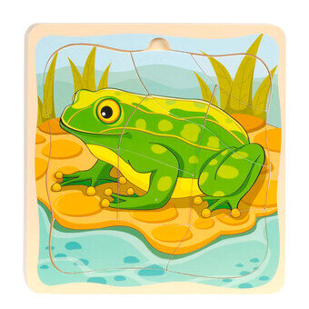 Lagen Puzzel Cyclus - Frog