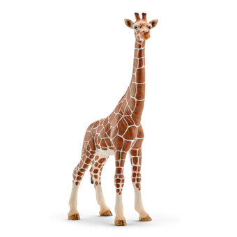 schleich WILD LIFE Giraffe Vrouwelijk 14750