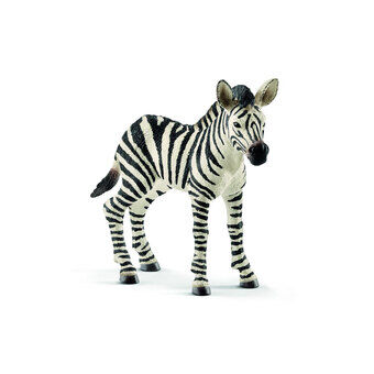 schleich WILD LIFE Zebra Jong 14811