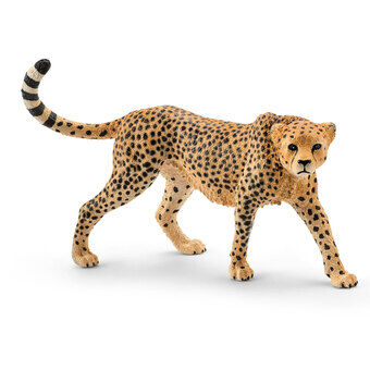 Schleich wilde cheeta vrouw 14746