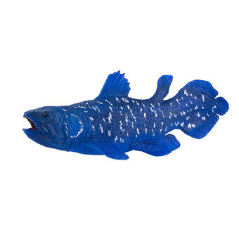 Mojo zeeleven coelacanth - 381050