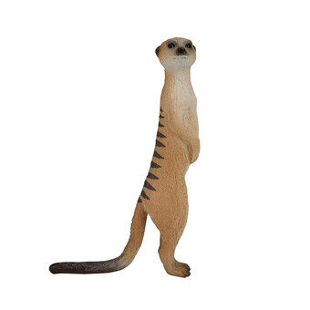 Mojo wilde meerkat - 387125