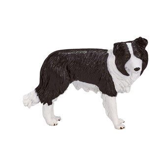 Mojo landbouwgrond border collie - 387203