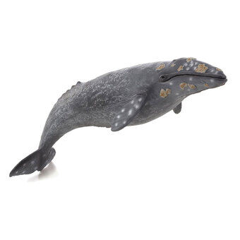 Mojo sealife - grijze walvis 387280