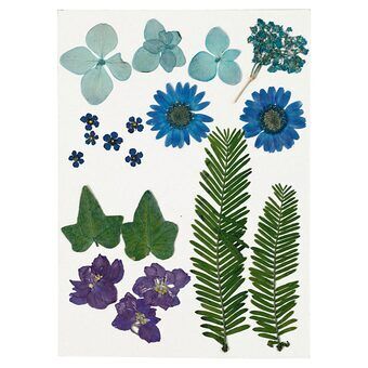 Gedroogde bloemen en bladeren blauw, 19 stuks.