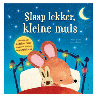 Slaap lekker, Kleine Muis Prentenboek