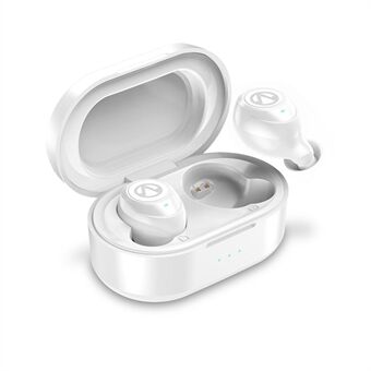 TWS True Wireless Stereo Bluetooth 5.0-koptelefoon met oplaaddoos