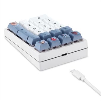 DARMOSHARK K3QMK USB Bedrade 21 Toetsen Numeriek Toetsenbord Mini Draagbare RGB Achtergrondverlichting Mechanisch Gaming Numpad Programmeerbaar voor Computers