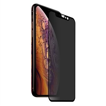 HAT Prince 0.26 mm 9H 2.5D Privacybescherming Volledig scherm Gehard Glas Screenprotector voor iPhone (2019) 6.5 "/ XS Max 6.5"