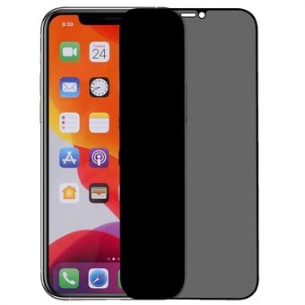 Screenprotector van gehard glas voor iPhone XR / 11 6.1 inch, anti-spion matte HD-zeefdruk volledige lijm film op volledig scherm